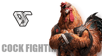Cockfighting game 1