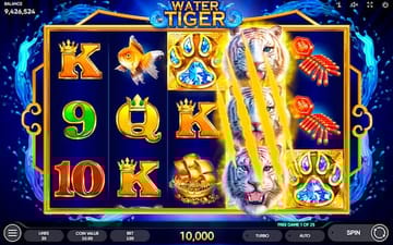 Water Tiger by Endorphina on 55BMW